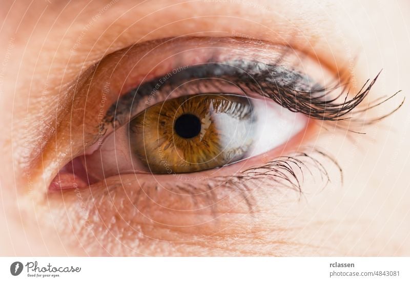 Brown Eye Part Of A Male Face Focus On Pupil Stock Photo