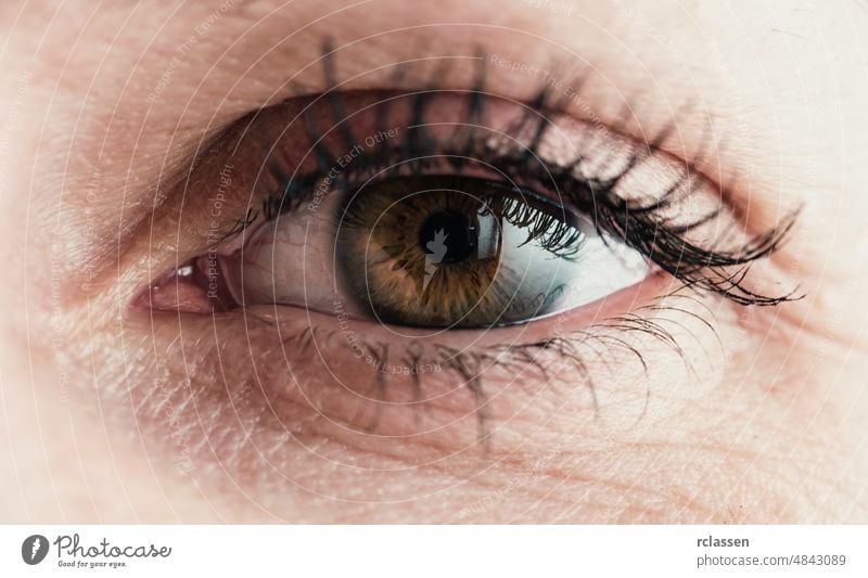 Macro image of human eye focus optician eyeball iris macro look eyelash medical lens beautiful eyesight pupil watching eye image looking face feminine