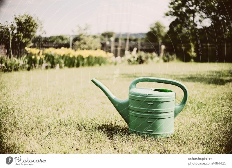 What am I doing here? Tree Garden Meadow Watering can Plastic Old Retro Green Colour photo Subdued colour Exterior shot Deserted Copy Space left Day