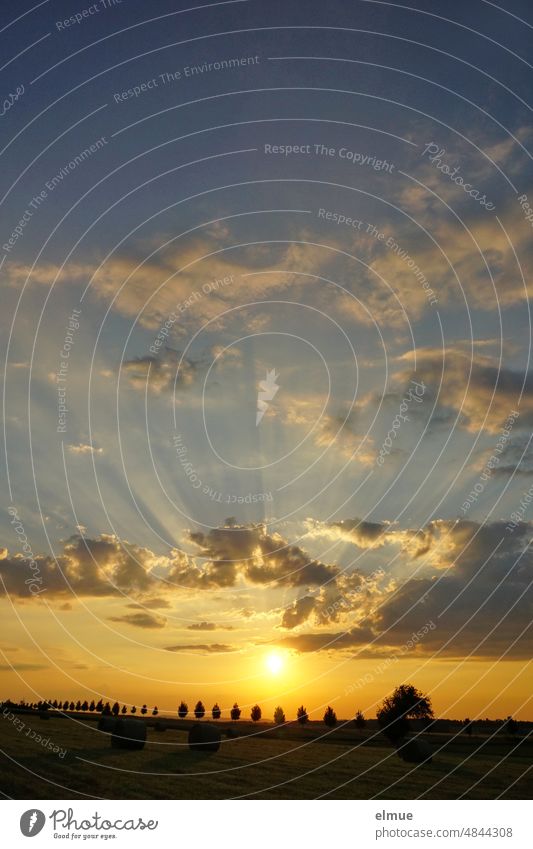 Sunset over rural area with hay rolls and trees / Farewell Rural Hay Hay rolls end of day Goodbye Death Nature Clouds Emotions Moody tranquillity evening mood