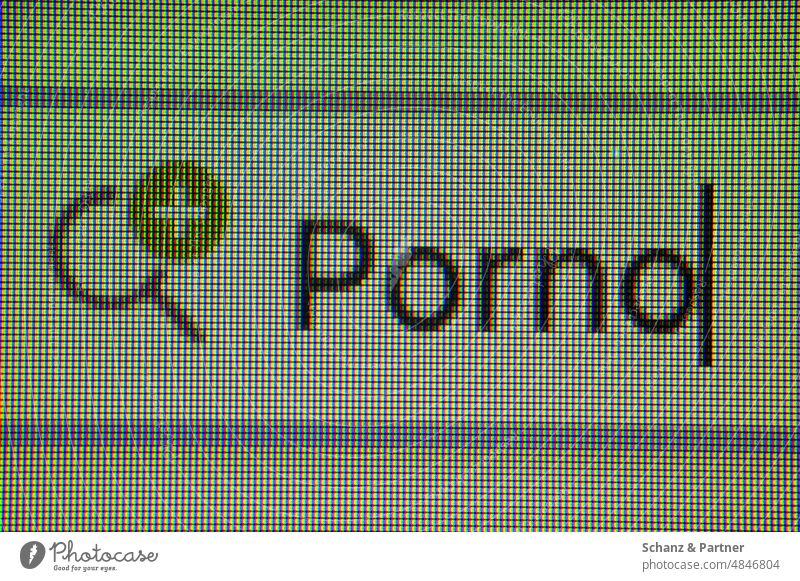The word porn in a search box on a website monitor pixels Internet google sb. Search Engine Statistics Macro (Extreme close-up) Magnifying glass Research