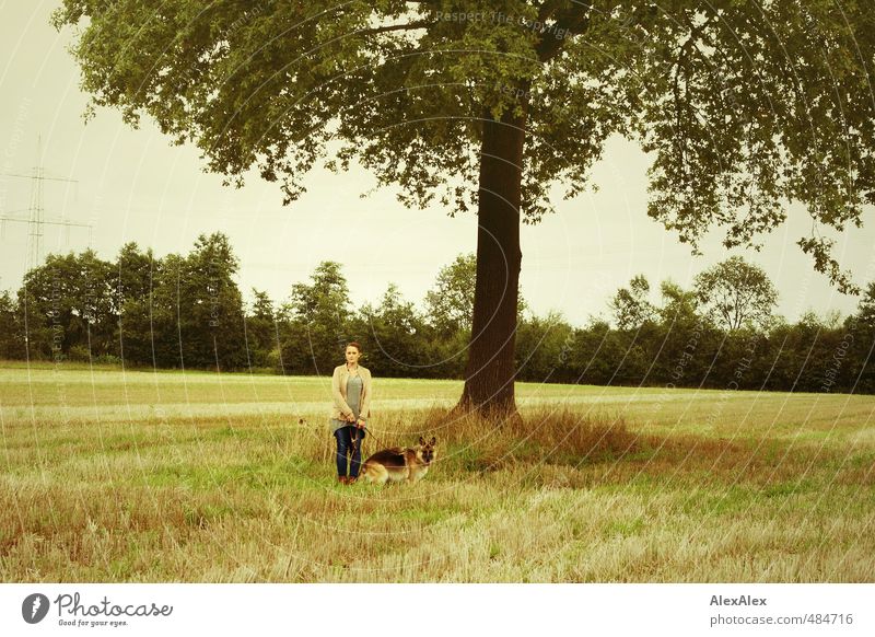 Girl with dog Hiking Young woman Youth (Young adults) 18 - 30 years Adults Field Tree felling Bushes Jeans Brunette Shepherd dog Observe Discover Relaxation