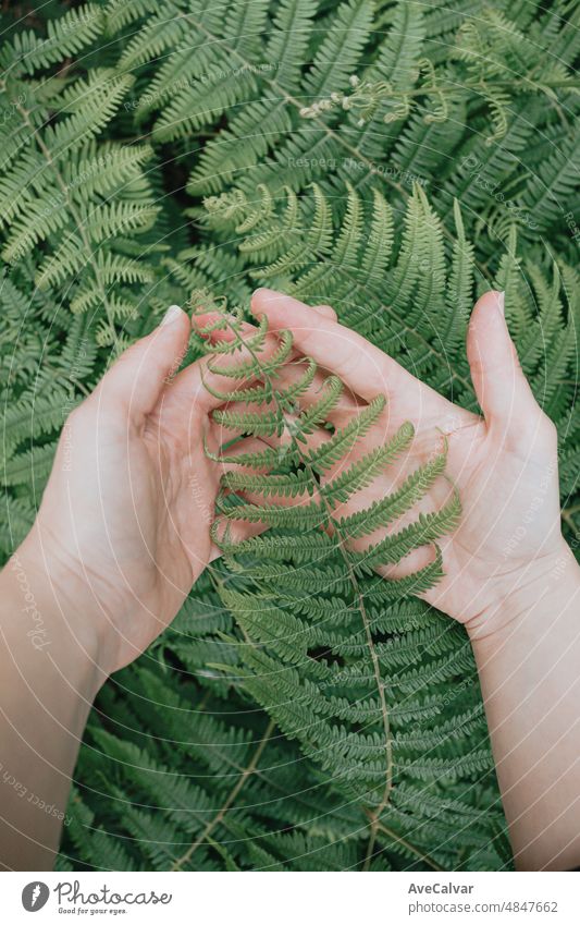 Nature background of hands grabbing green leaves and plants with dark shadows and copy space and airy concept. Wallpaper image, deep breath and relax mental health concept.