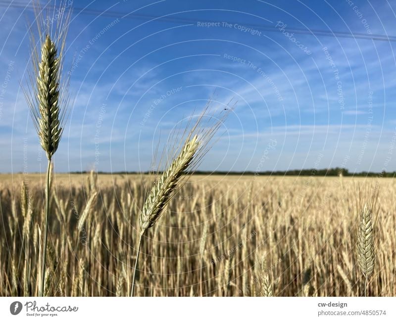 nature Nature Summer Landscape Sky Clouds