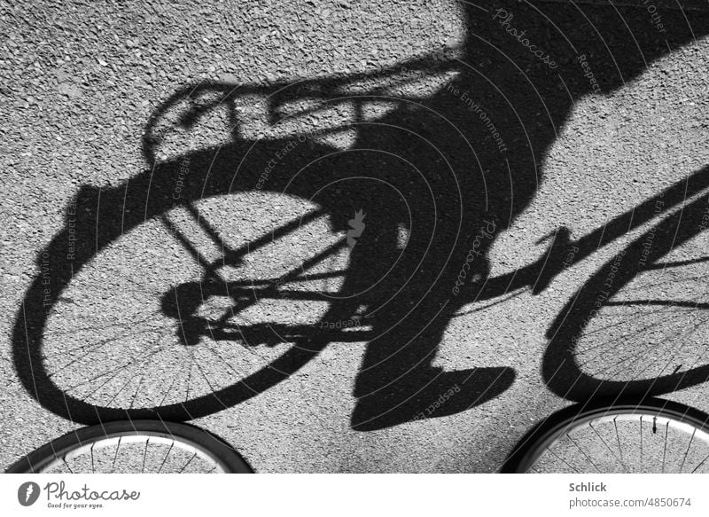 Bicyclist casts his shadow on asphalt Shadow Asphalt Bicycle Abstract Graphic Day Bright sunshine Summer Sunlight abstraction Shadow play Street Contrast Sports