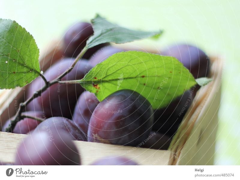 Plum harvest... Food Fruit Nutrition Organic produce Vegetarian diet Leaf Basket Lie Esthetic Authentic Fresh Healthy Delicious Natural Juicy Sweet Yellow Green