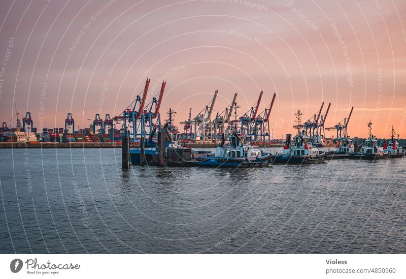 Hamburg harbor edge III Harbour Elbe Tug Sunset sunset cranes wharf