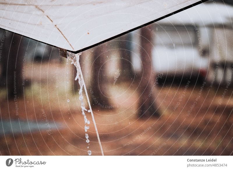 Downpour at the campsite, seen from the tent. rainy days rainy weather Camper Old travel camping inundate Deluge Forest camping holiday downpour wet Rain shower