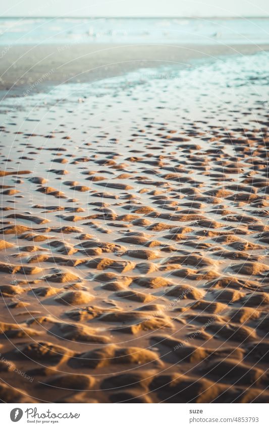 What if it were cotton? Beach watt coast Water Landscape Sand Ocean Vacation & Travel Summer Low tide Tide Wet ebb and flow Horizon Slick Baltic Sea