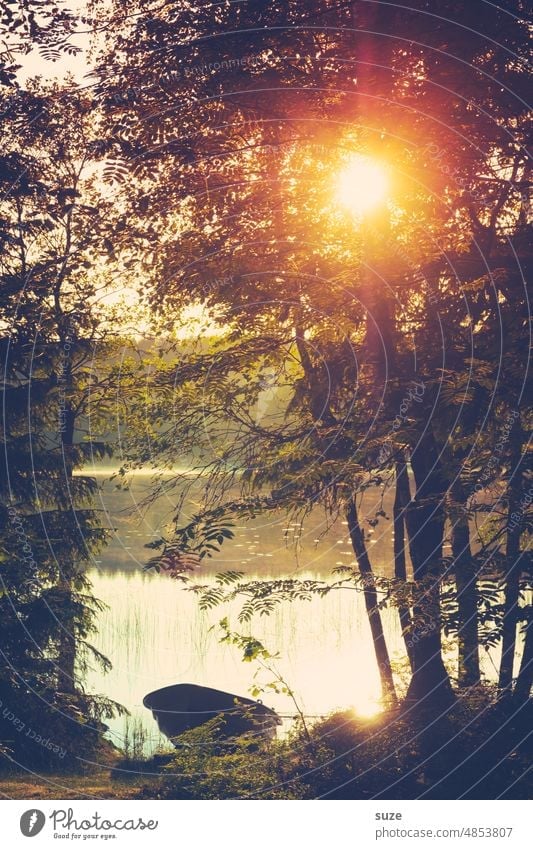 A brief look back Idyll boat Sunlight Exterior shot Landscape Swede Deserted Lake Nature trees Lakeside silent Colour photo Peaceful