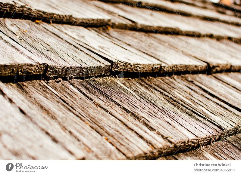 old wooden roof shingles Roof shingles wooden shingles Building Wood Old House (Residential Structure) Brown faded