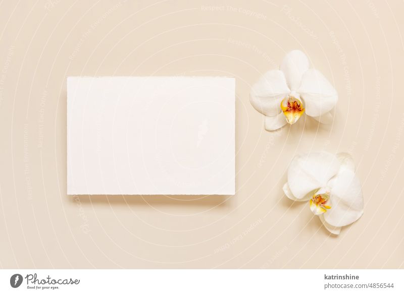 Wedding card near white orchid flowers on light yellow, mockup WEDDING top view horizontal tropical exotic paper valentine spring mothers day Marriage above
