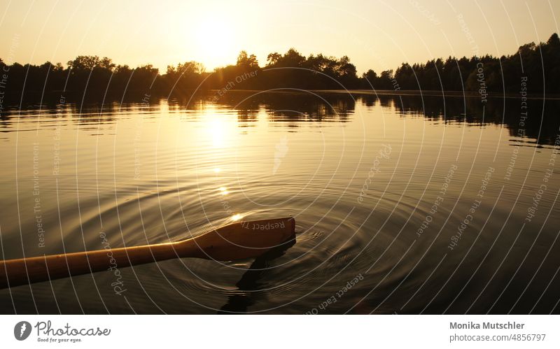 Boating in the sunset Sunset Evening Sky Dusk Landscape Twilight Nature Light Exterior shot Deserted Colour photo Sunlight Horizon Beautiful weather