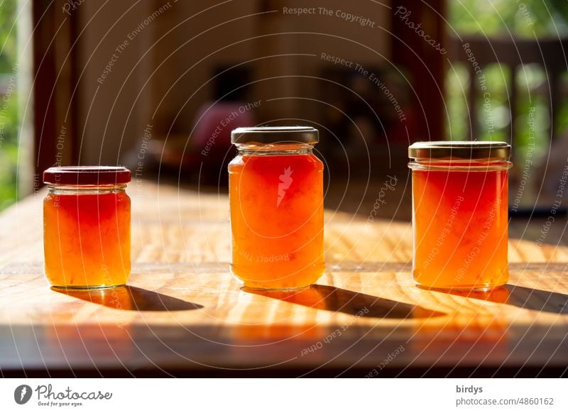 3 glasses with quince jelly illuminated from behind on a wooden table Quince jelly Jam Jam jars Self-made cute Fruity Wooden table Food Sunlight Delicious