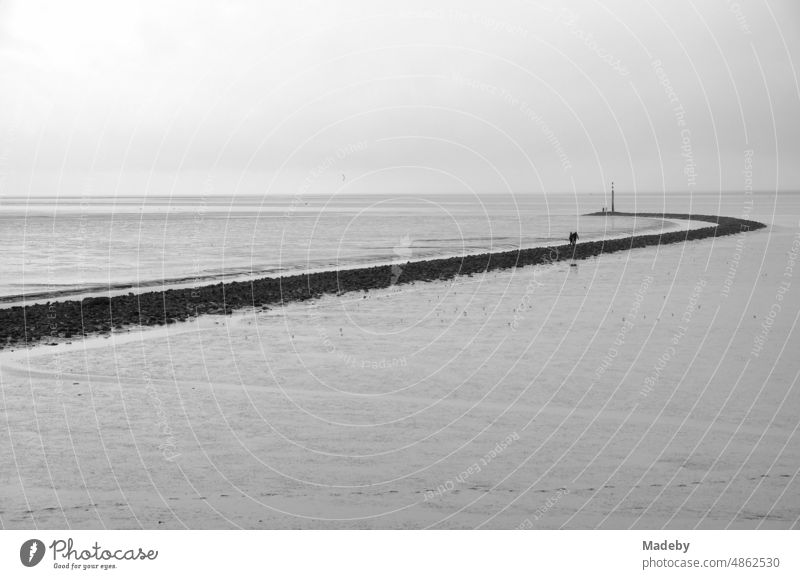 The Wadden Sea World Heritage Site with coastal protection on the coast of the North Sea at the harbor of Norden near Norddeich in East Frisia in Lower Saxony, photographed in classic black and white