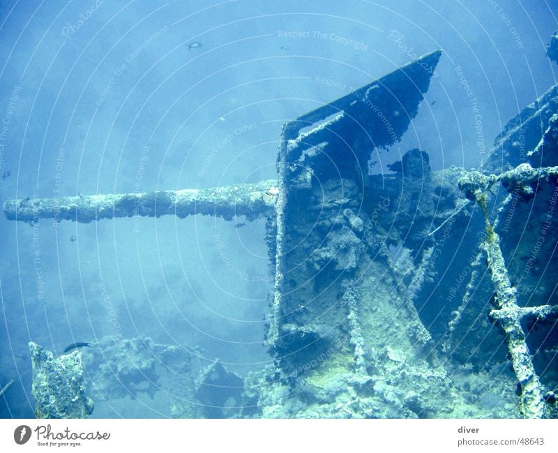 Gun of the Thistlegorm Cannon Watercraft Dive Navy War Wreck Underwater photo Red Sea diving world war 2