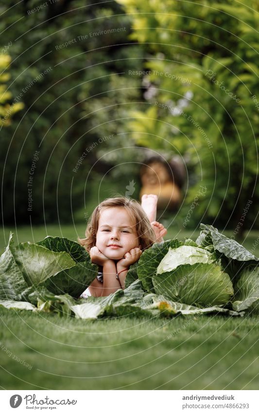 cute little girl is having fun and lying on green grass near cabbages. Cute little girl on cabbage field. Harvest Concept. happy childhood vegetable baby summer