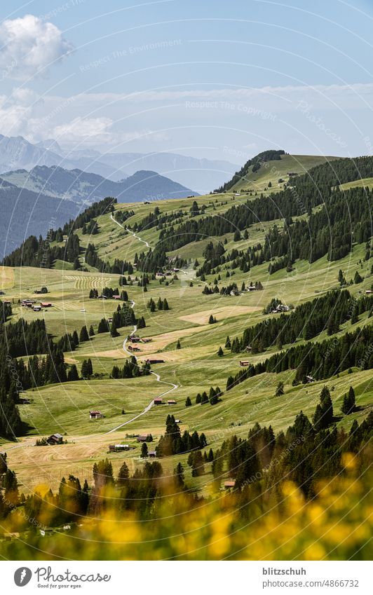 "Maiensäss" in the mountain summer Switzerland mountains swissmountains Alps maiensäss Mountain Hiking Nature Landscape Meadow Summer Alpine summer Suisse