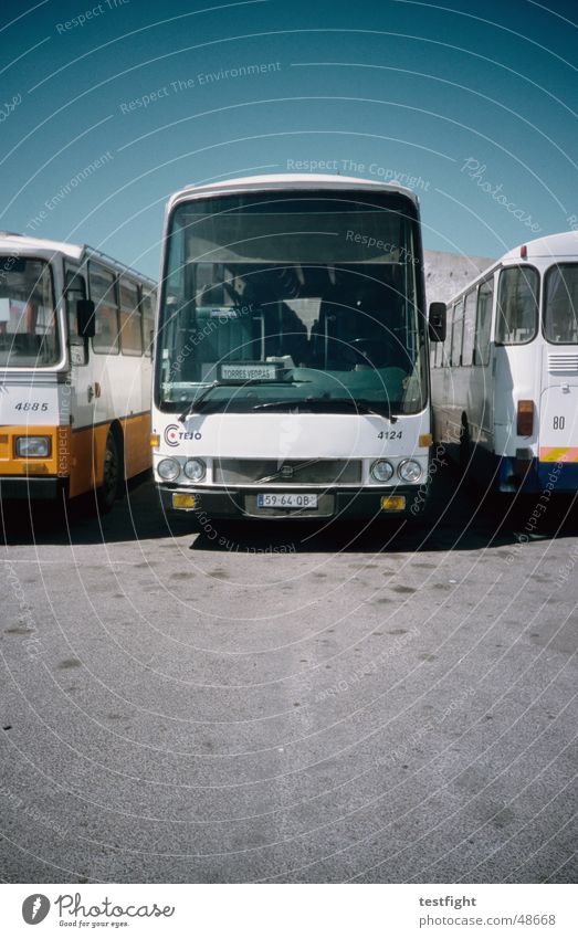 bus Bus terminal Portugal Summer Tar Motor vehicle Sky buses Train station Sun Floor covering Blue Beautiful weather