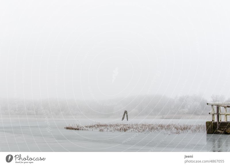 Snow, ice and hoarfrost on the lake captured while winter canoeing Frost Ice Hoar frost Winter Cold Lake Lakeside Idyll Winter mood Winter sports Canoe