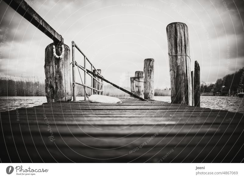 Wooden bridge in black and white - a Royalty Free Stock Photo from Photocase