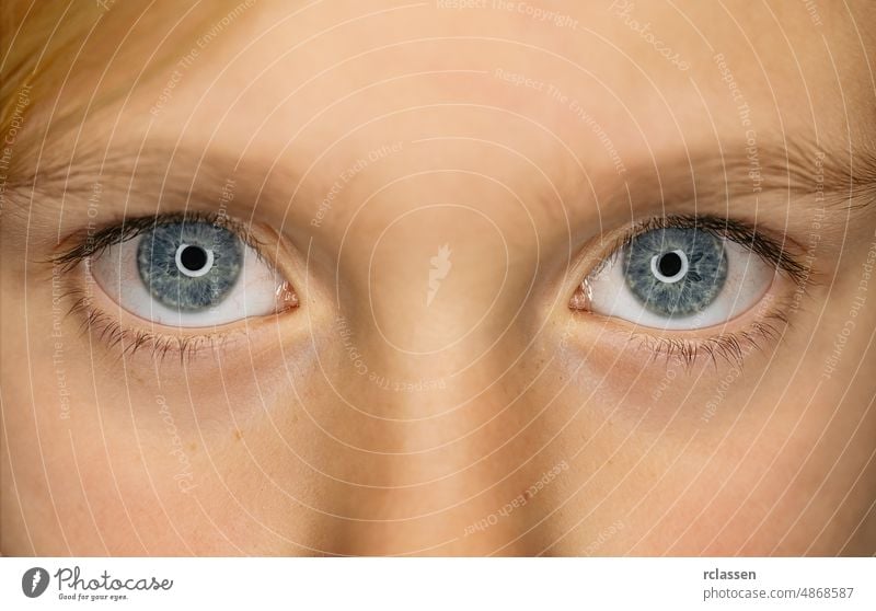 Closeup of beautiful girl with open blue eye. Beautiful blue eyes macro  shot. image of a little kid eye open - a Royalty Free Stock Photo from  Photocase