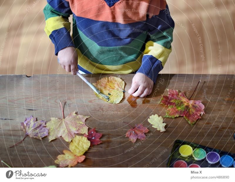 autumn fun Leisure and hobbies Playing Handicraft Children's game Human being Toddler Infancy 1 1 - 3 years 3 - 8 years Autumn Leaf Multicoloured Emotions Moody