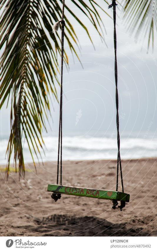 CR XIX A swing at the end of the world tortuguero Costa Rica Swing Palm tree Beach vacation Vacation & Travel relaxation To enjoy tranquillity rest