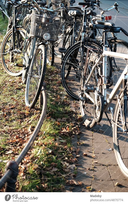 Students' wildly parked bicycles on sidewalk and green belt in autumn sunshine at lake Aasee in Münster in Westphalia in the Münsterland region of Germany