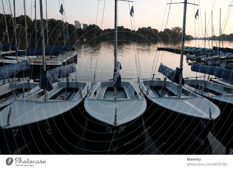Masts and rigging of sailboats and dinghies in the evening in the light of the setting sun at the boat rental at the Aasee in the summer in Münster in Westphalia