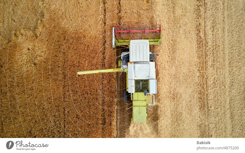 Harvester combine working in the field harvest agriculture wheat farm farmland countryside tractor grain cereal crop industry equipment food machinery rural