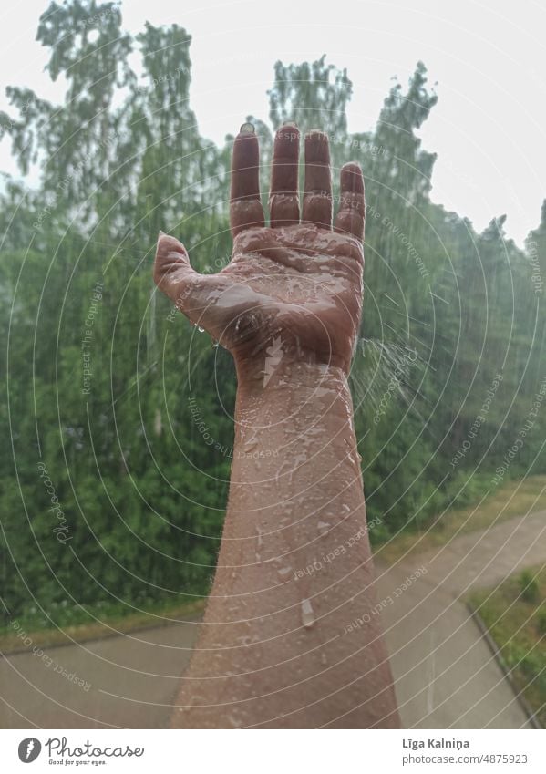 Hand in rain Fingers hand Palm of the hand Woman Minimalistic body part hands wrist Human being Arm Conceptual design palm Body Rain Wet raindrops