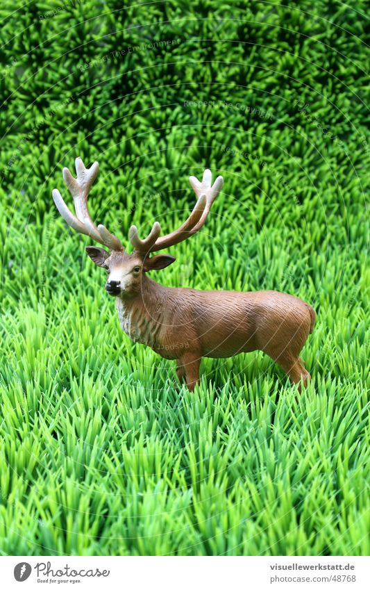the deer in the green Antlers Deer Grass Green Absurdity Animal Statue Nature Kitsch wild ...