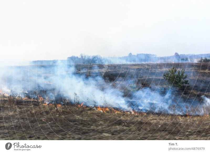 a field is burned in Ukraine Field Fire fire Flame Agriculture Burn Hot Landschaft Frühling