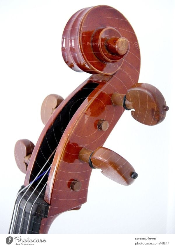 vertebra Wood Musical instrument string Cello Leisure and hobbies violoncello coarser tuning up attuning wooden strings