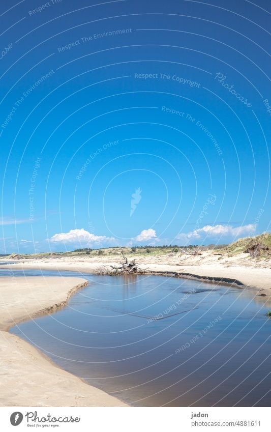 by the sea. Ocean Water Blue Sky Sand Vacation & Travel Beach Summer coast Nature Horizon vacation Beautiful weather Deserted Far-off places Landscape Calm