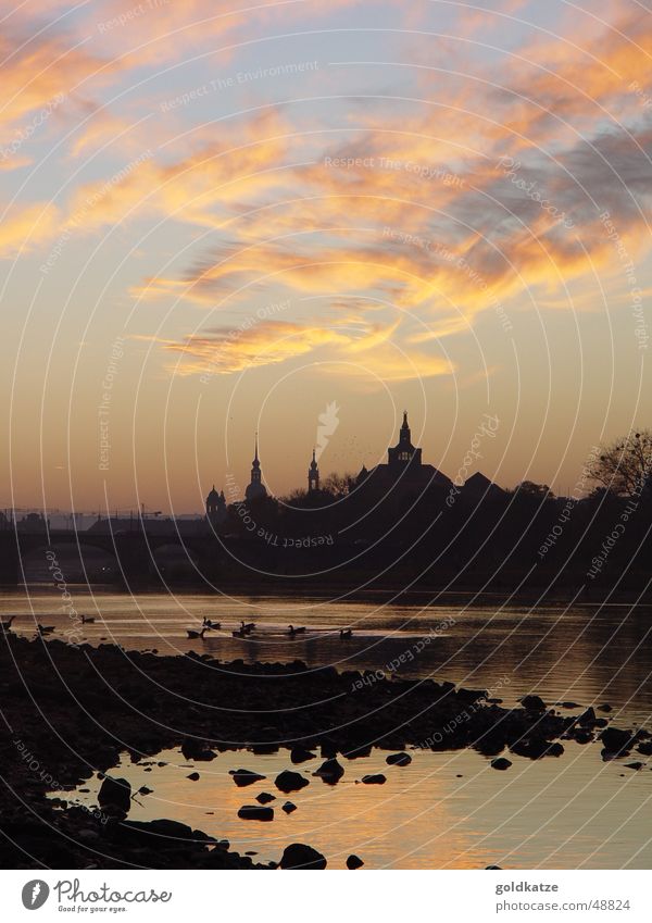 evening at the elbe Harmonious Relaxation Calm Sightseeing Landscape Sky Clouds Autumn Beautiful weather River bank Town Downtown Tower Manmade structures