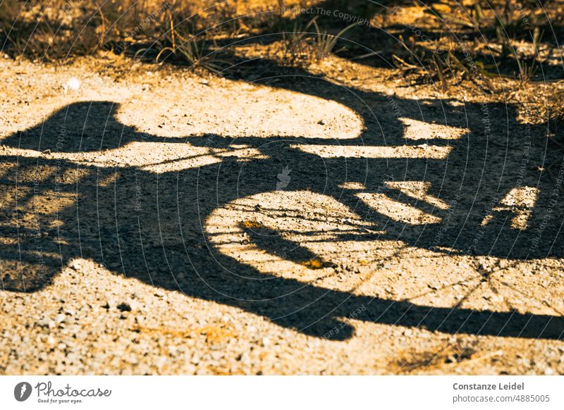 Shadow image of ladies bicycle on gravel floor. Bicycle shade Cycling Transport Means of transport Colour photo Deserted Lanes & trails Cat eyes