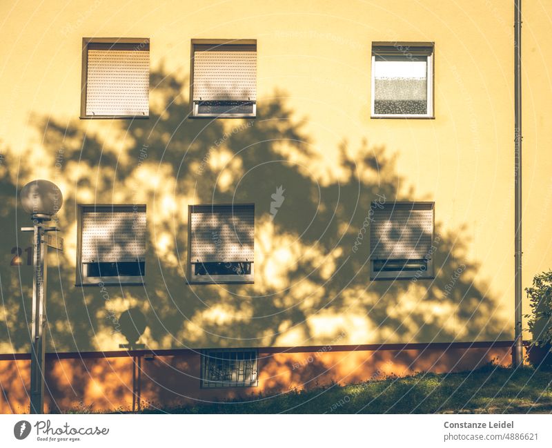 Shadow of a tree on yellow house facade with windows and street lamp. Light Exterior shot Architecture Building Wall (barrier) Wall (building) Shutter Facade