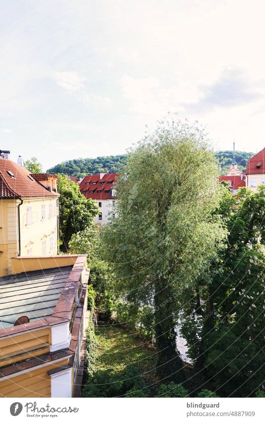 In the city of a hundred towers (two three quarters) City of a hundred towers Golden City Prague Sun Architecture spires Medieval times Historic Czech Republic