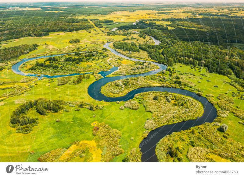 forest river in summer, green vivid natural landscape Stock Photo