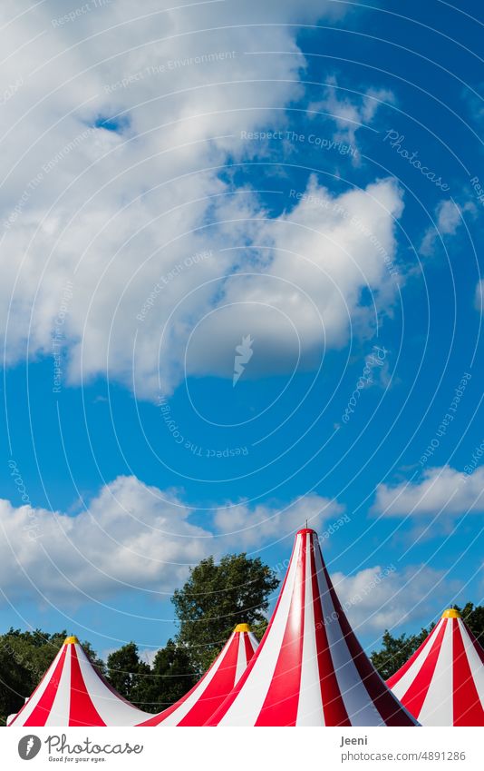 Four turrets Circus Circus tent Point Tent 4 four Sky Blue Clouds Beautiful weather Fairs & Carnivals Striped Multiple Side by side especially Shows Event