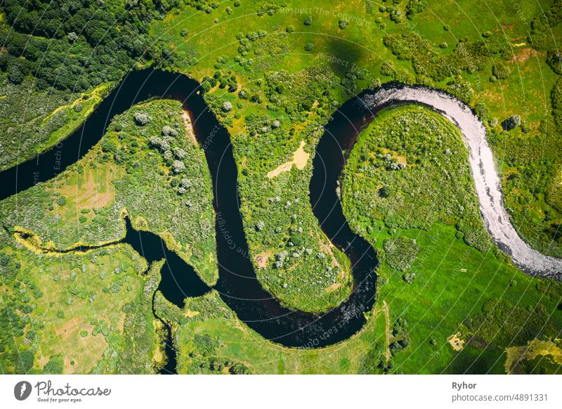 forest river in summer, green vivid natural landscape Stock Photo