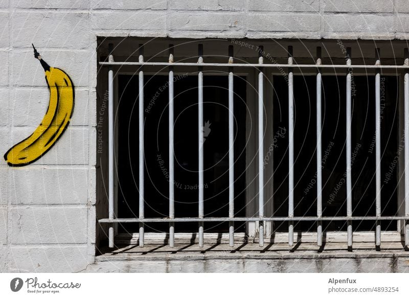 Monkey cage Grating Window Banana penned Deserted Protection lattice bars Colour photo Captured Quarantine Metal Barrier jail Freedom cordon Exterior shot