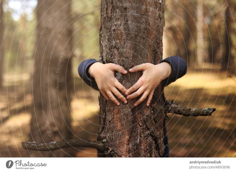 Child hug a tree in forest. Concept of global problem of carbon dioxide and global warming.Child's hands making a heart shape on a tree trunk. Love of nature. Hands around the trunk of a tree.