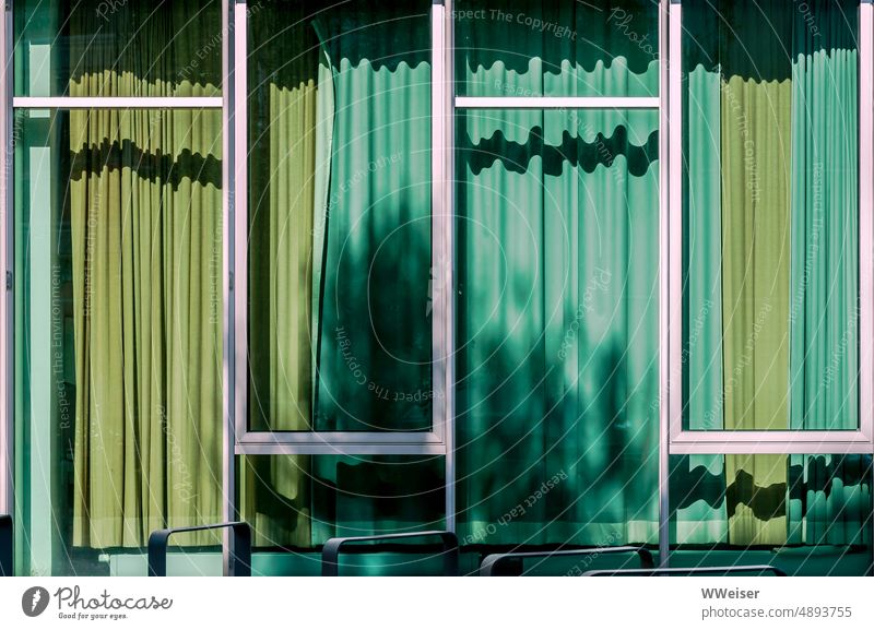 It's all just a facade: closed curtains in shades of green behind the large windows of a new building Office building New building Window Glass Glass front