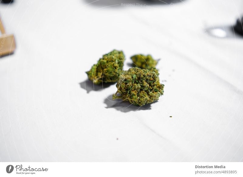 Some marijuana buds THC-free on a white background pot head cannabis bud mental health prescription drugs legalized indica addiction isolated lemon haze