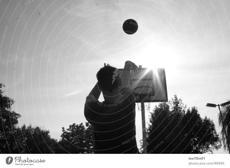 streetball Basket Summer Ball sports Basketball Sun Black & white photo Sports Throw