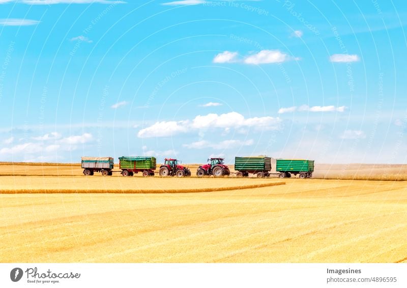 Harvest workers. Tractors with trailers on the horizon working on a wheat field. Harvesting wheat. Agriculture Field Rural Landscape Summer Farm Sky Grain