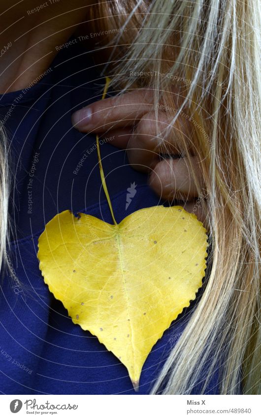 Heart to heart Human being Feminine Woman Adults Hair and hairstyles 1 Autumn Leaf Blonde Yellow Emotions Moody Love Infatuation Loyalty Romance Heart-shaped